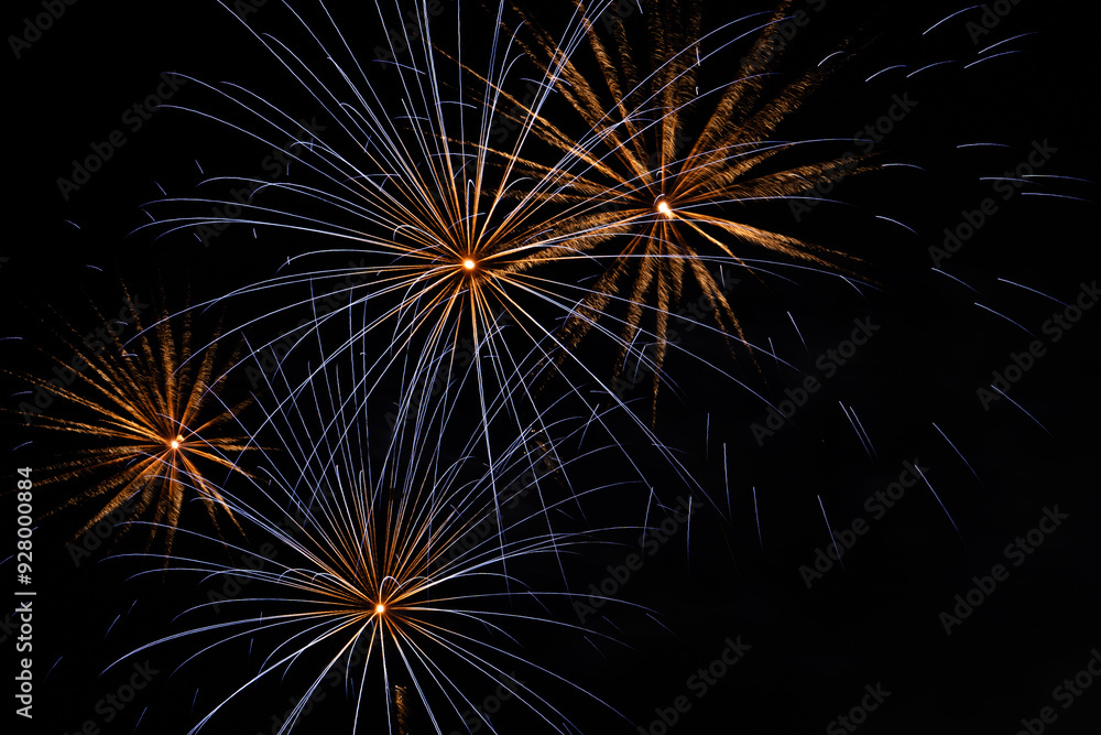 fireworks in the night sky fireworks in the night sky