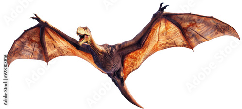 Pterodactyl Dinosaur in Flight photo