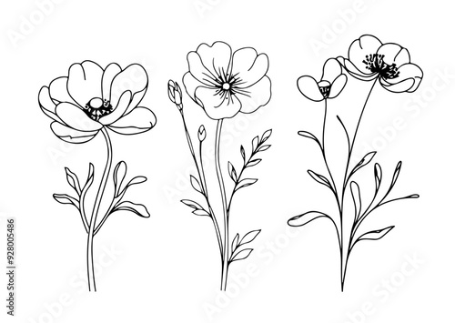 Obraz na płótnie aesthetic flower blossom line art vector w salonie
