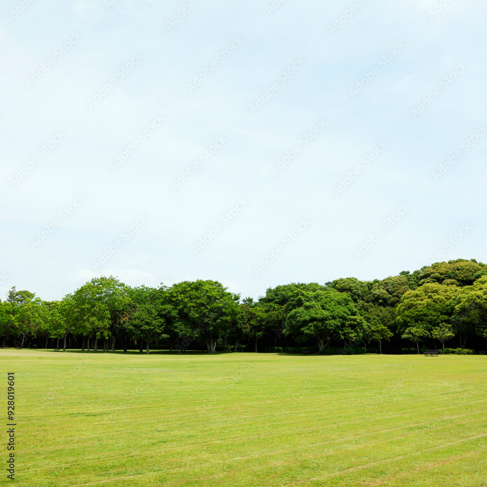 公園 公園