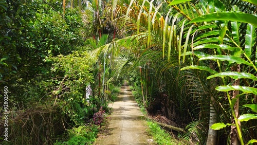 Narrow village street in countryside at Mang Thit district, Vinh Long province, Mekong Delta Vietnam in the morning.