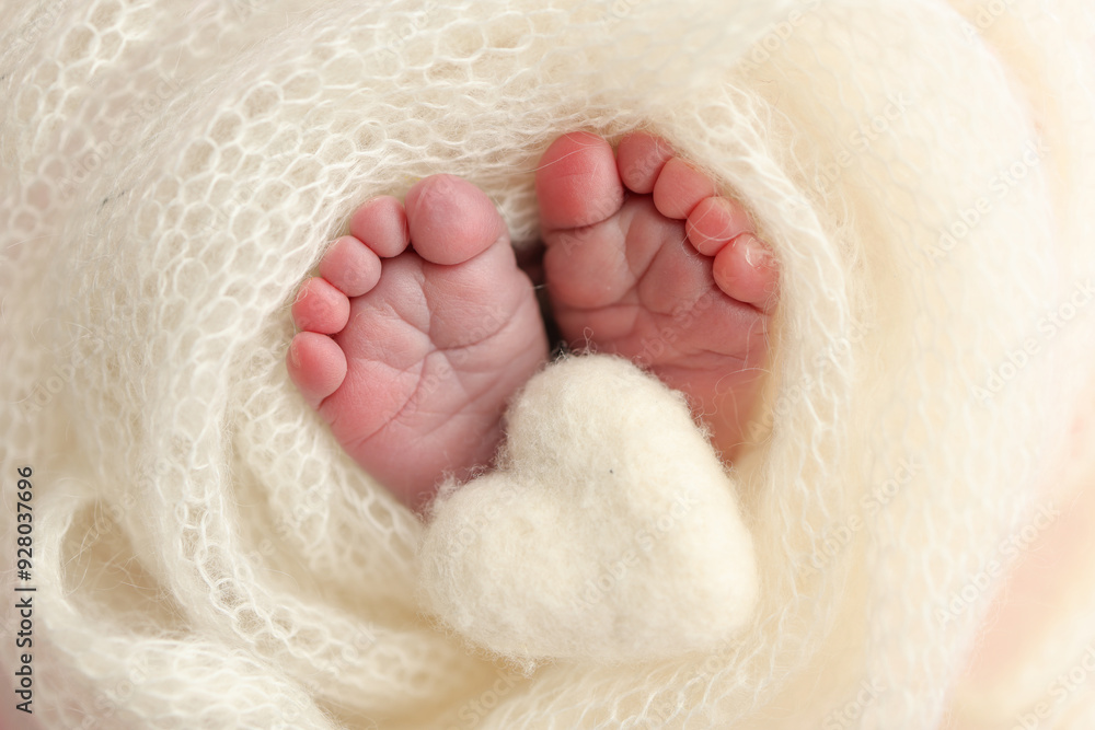 The tiny foot of a newborn baby. Soft feet of a new born in a white wool blanket. Close up of toes, heels and feet of a newborn. Knitted white heart in the legs of a baby. Macro photography. 