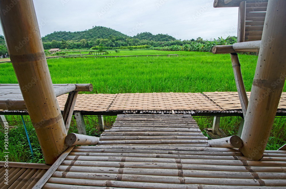 Bamboo resort and walkways with views of rice fields and forests Bamboo resort and walkways with views of rice fields and forests