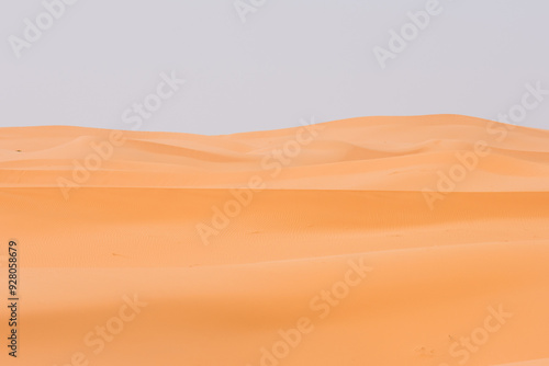 sand dunes in the desert