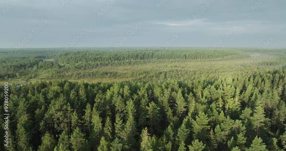 Flying over a Finnish forest at dawn Flying over a Finnish forest at dawn