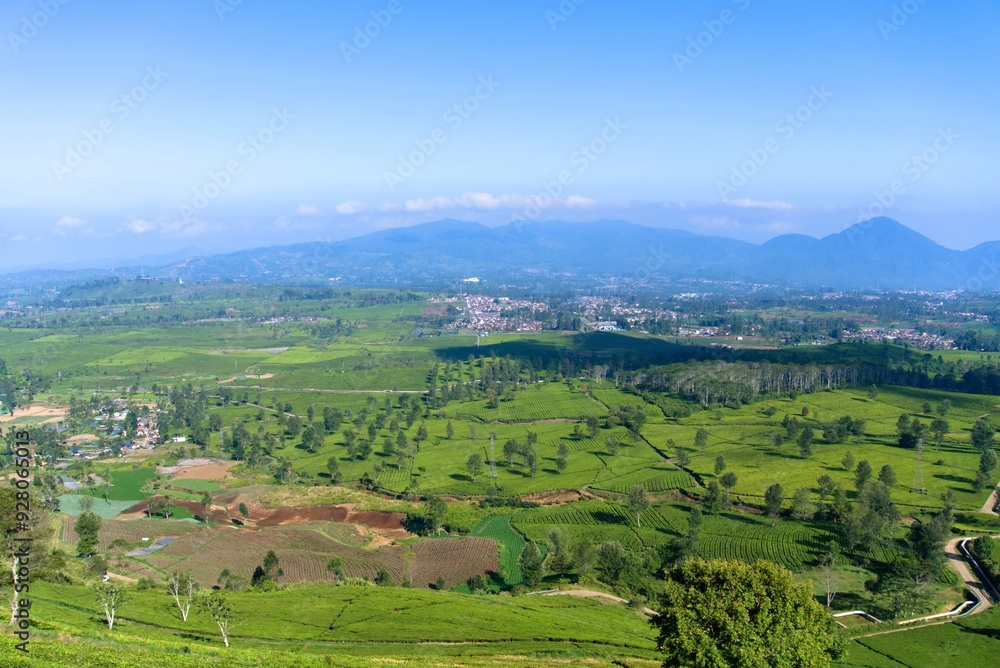 Amazing landscape view and green tea gardens and blue sky Amazing landscape view and green tea gardens and blue sky