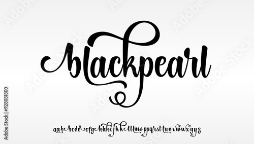 Classic Lettering Minimal Fashion Designs. Typography modern serif fonts regular decorative vintage concept. vector illustration