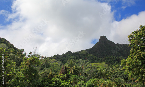 Rarotonga landscape vista of tropical jungle and mountains