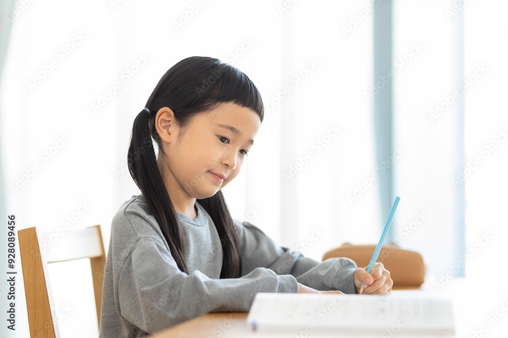 自宅で勉強をする女の子 自宅で勉強をする女の子