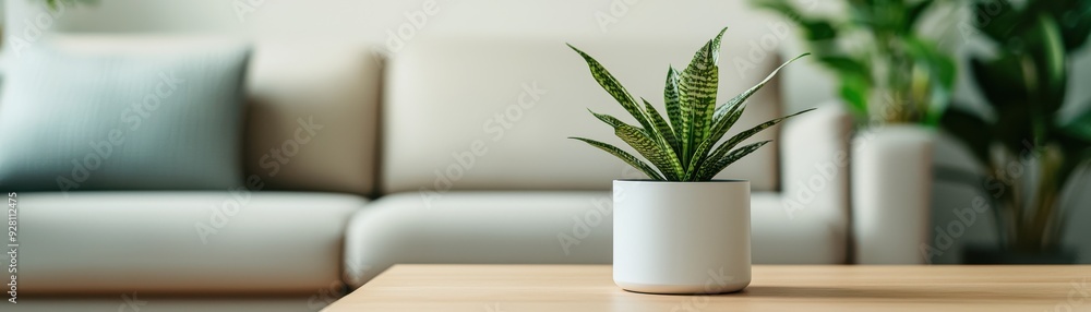 A modern living room featuring a stylish plant in a ceramic pot, adding a touch of greenery to the cozy space. A modern living room featuring a stylish plant in a ceramic pot, adding a touch of greenery to the cozy space.