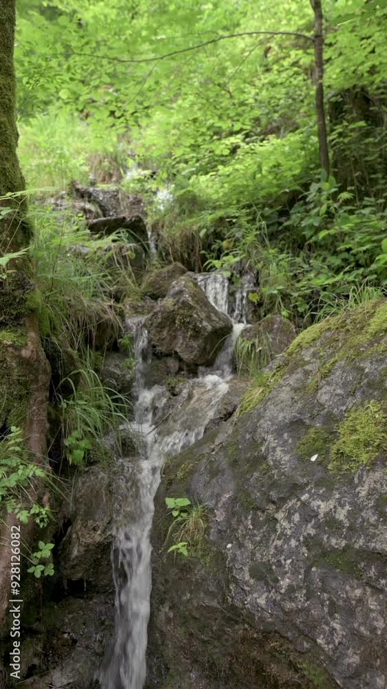 A vertical video captures a peaceful scene of a small waterfall flowing over rocks in a lush, green forest, surrounded by moss and foliage, showcasing nature's tranquility. High quality 4k footage A vertical video captures a peaceful scene of a small waterfall flowing over rocks in a lush, green forest, surrounded by moss and foliage, showcasing nature's tranquility. High quality 4k footage