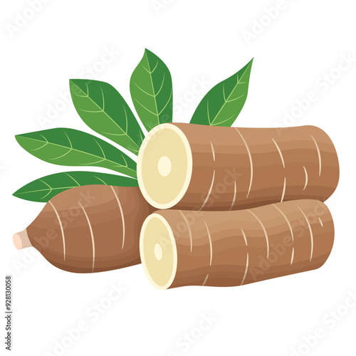 Manihot Esculenta or Cassava Root with Leaves Illustration