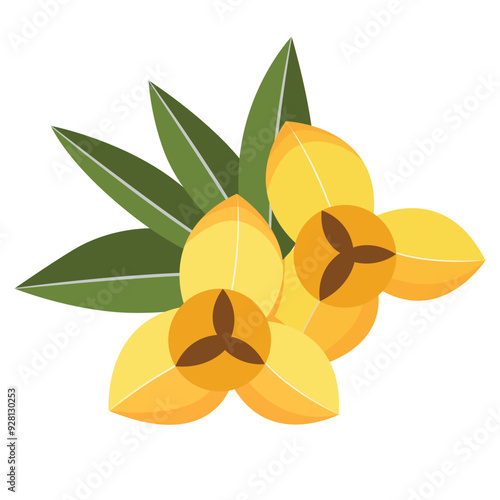 Romduol Cambodia National Flower with Leaves Illustration