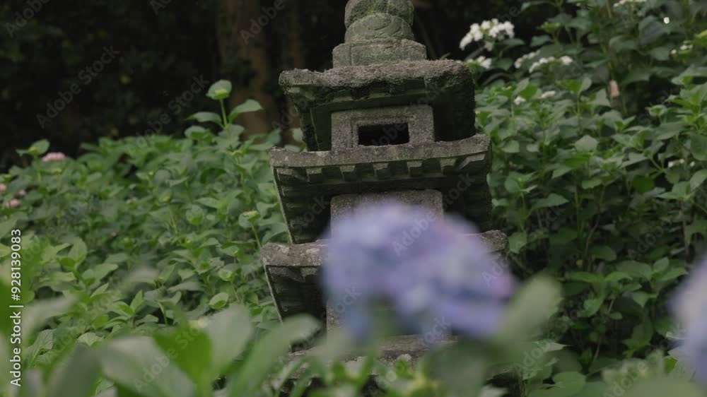 Focus shift from hydrangeas to stone garden pagoda Focus shift from hydrangeas to stone garden pagoda