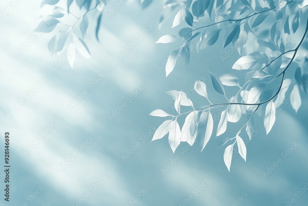 White Lily Blooms Against Clear Blue Sky, Flower Petals with Vibrant Color Contrast Gradient Surface background White Lily Blooms Against Clear Blue Sky, Flower Petals with Vibrant Color Contrast Gradient Surface background