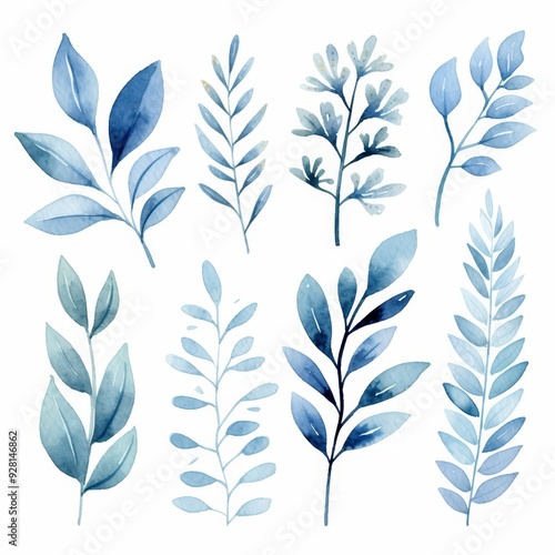 Blue Watercolor Botanical Leaves Set.