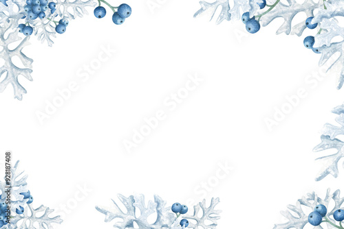 Cineraria watercolor. Border, frame, banner for the holiday. A flower with white soft, shaggy, fluffy leaves, blue berries. New Year and Merry Christmas. Drawn grass..