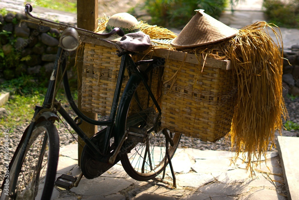 Fototapeta premium old retro bicycle carrying hay from farm on a basket with a farmer cap