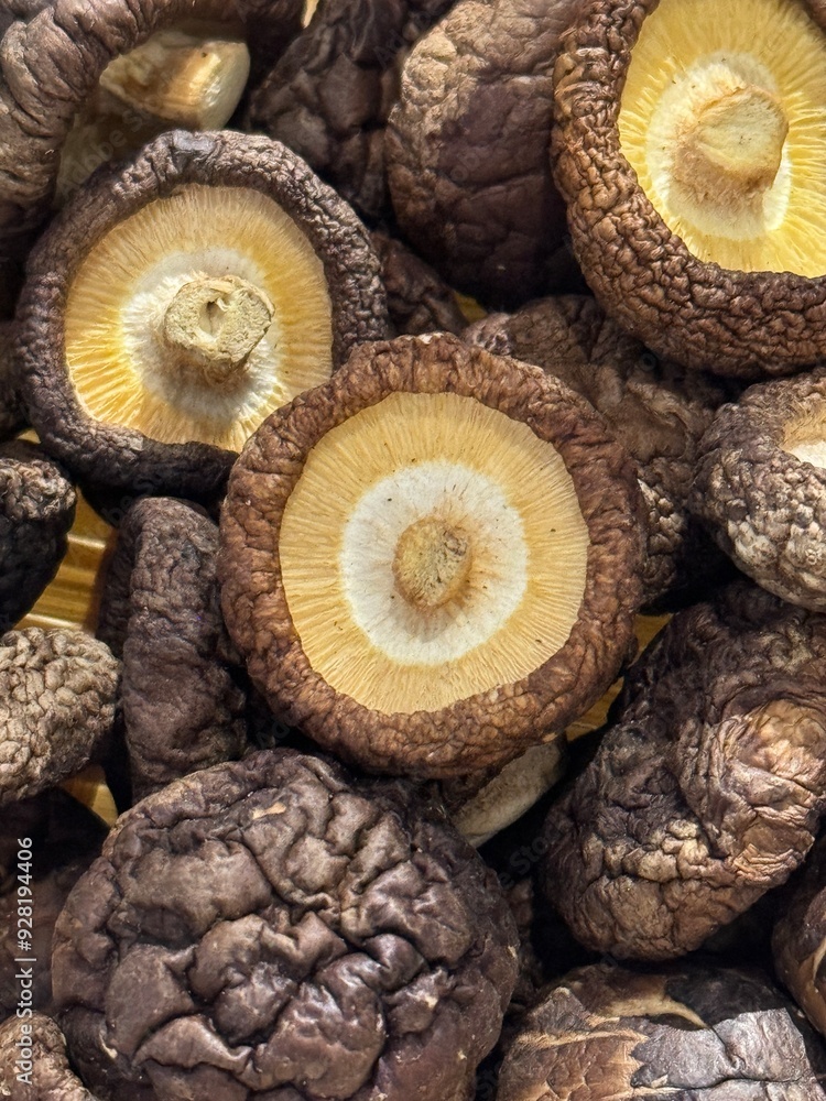 pile of mushroom pile of mushroom