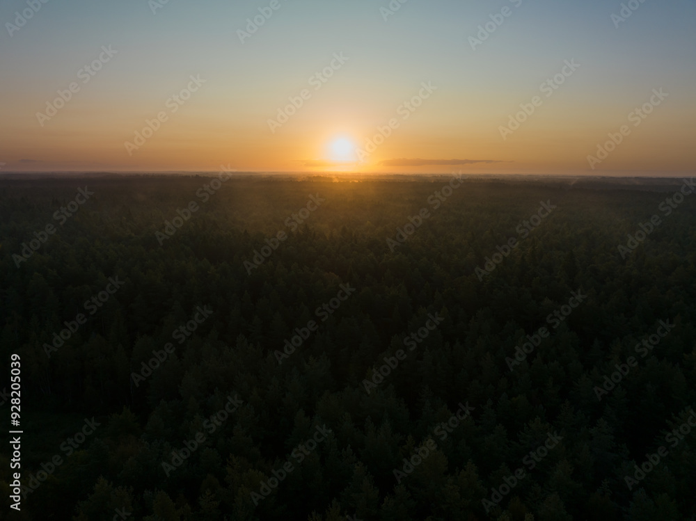 Contrast photo view from a drone. The sun rises over the forest early in the morning in August in Estonia. Contrast photo view from a drone. The sun rises over the forest early in the morning in August in Estonia.