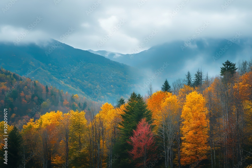 Colorful autumn fall foliage at the mountains Colorful autumn fall foliage at the mountains