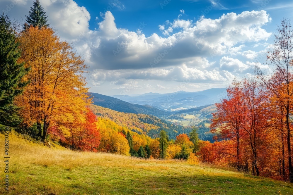 Colorful autumn fall foliage at the mountains Colorful autumn fall foliage at the mountains