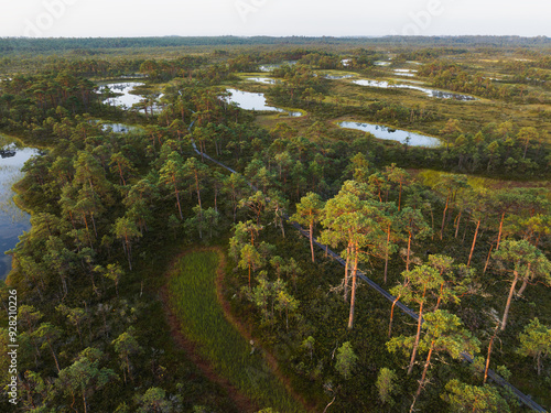 Landscape photo looking down from a drone. A traveler's path through the Seli swamp on a summer morning. photo