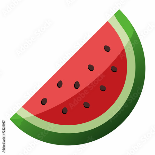 Water malon slice vector illustration  photo