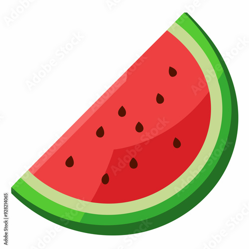 Water malon slice vector illustration  photo