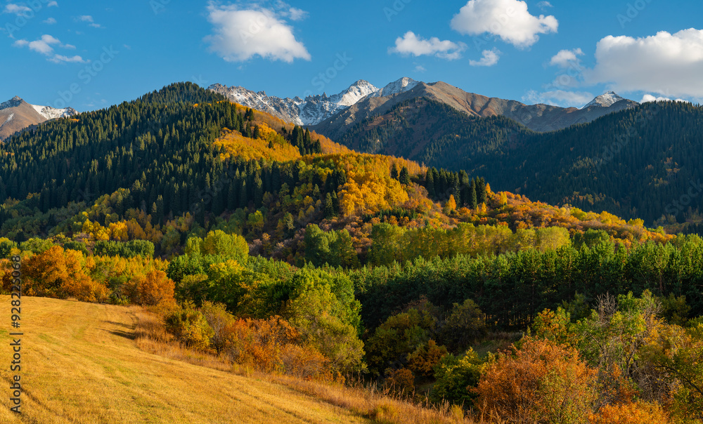 Naklejka premium Trees with autumn foliage on the slopes of the Zailiyskiy Alatau mountains in Kazakhstan