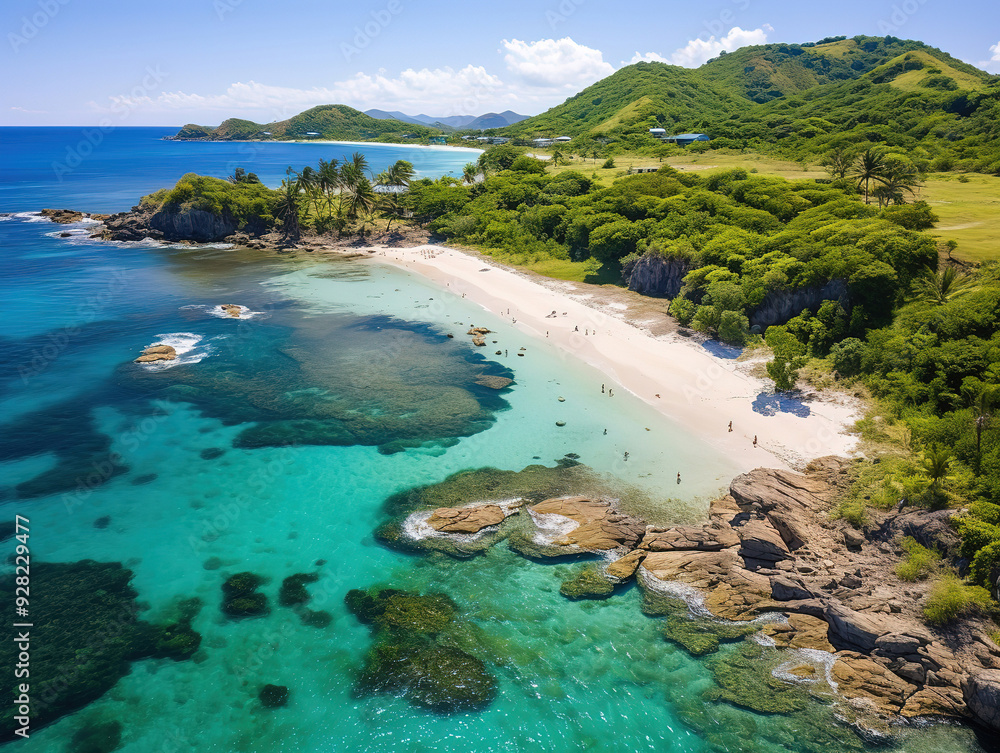 Fototapeta premium Eyecatching Aerial view of beach and sea with coconut palm tree
