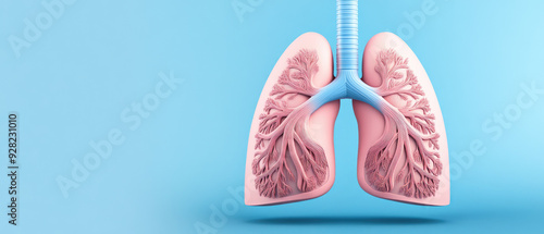 Anatomical illustration of human lungs, featuring detailed bronchial tree structure, set against a soft blue background, emphasizing respiratory health and anatomy. photo