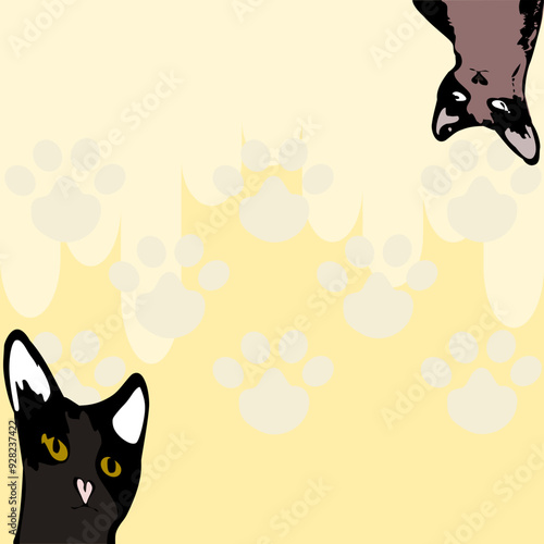 cat and mouse