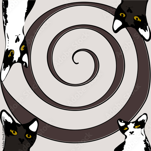 The cat in the brown circle has a confused look on its face.