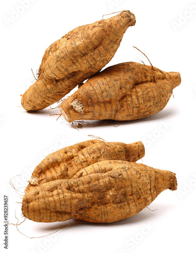 Root of kudzu vine,puerarin Isolated on a white background  photo