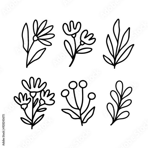 Flat design simple flower isolated illustration collection