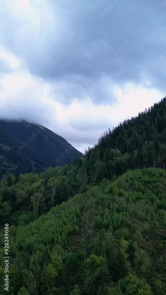 Canadian Nature Landscape. Mountains and Trees, British Columbia, Canada. Canadian Nature Landscape. Mountains and Trees, British Columbia, Canada.