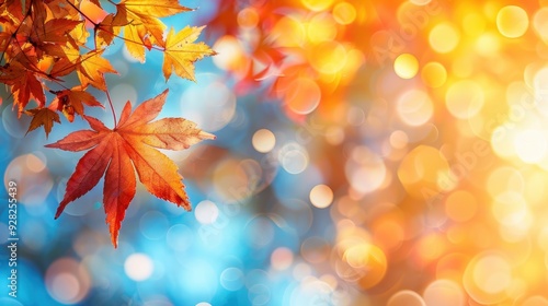 Autumn background with maple leaves and bokeh,Fall blurred background, Yellow and red maple leaves are flying and falling down. Autumnal landscape.water drop on leaf,space for text.