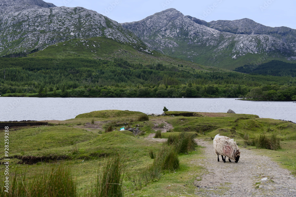 Ireland - Lough Inagh