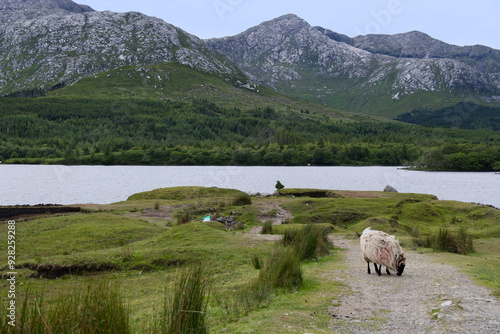 Obraz na płótnie Ireland - Lough Inagh w salonie