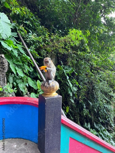 Batu Caves is a series of limestone caves in Gombak, Selangor, Malaysia outside Malaysia. Buddhist Temple. Murugan Statue. photo