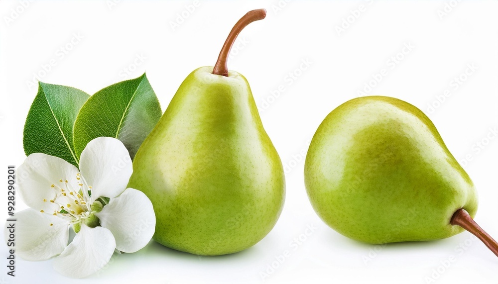 Organic Green Pears with Leaf and Flower: Pure Natural Goodness Organic Green Pears with Leaf and Flower: Pure Natural Goodness