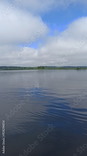 Lake shore overgrown with water lilies and reeds on a bright day