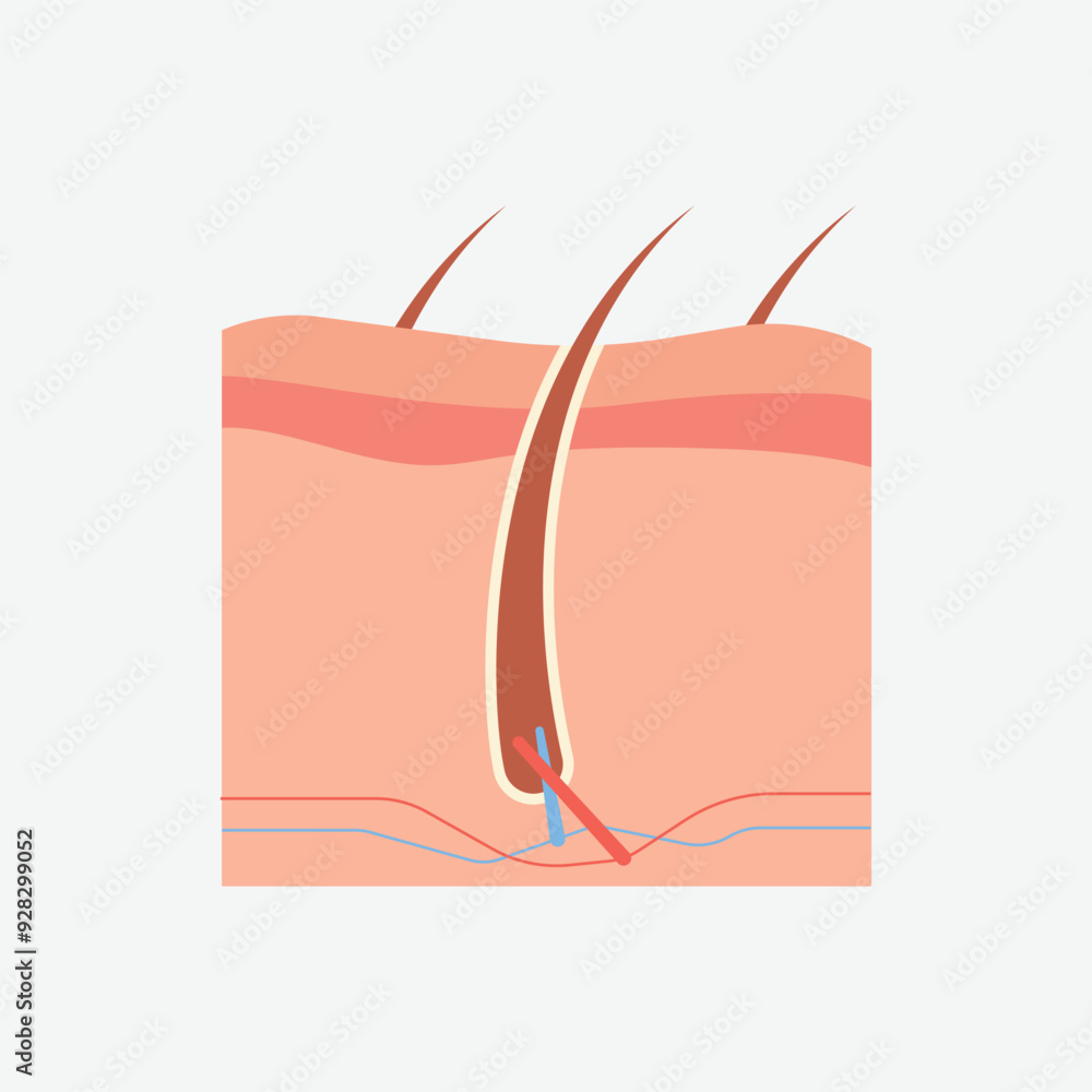 Abstract Body Organs illustration design for social media template Abstract Body Organs illustration design for social media template