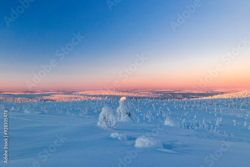 sunrise in the winter photo