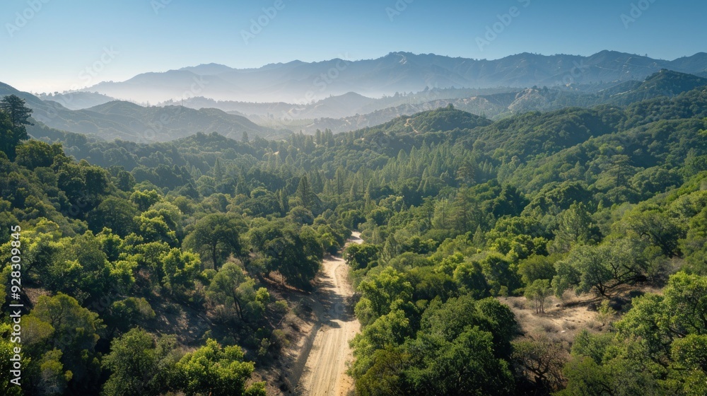 Elevated perspective of a mountainous forest with a deserted road, layers of hills, clear sky, no cars or people, telephoto lens, morning, realistic, soft diffused lighting. Elevated perspective of a mountainous forest with a deserted road, layers of hills, clear sky, no cars or people, telephoto lens, morning, realistic, soft diffused lighting.