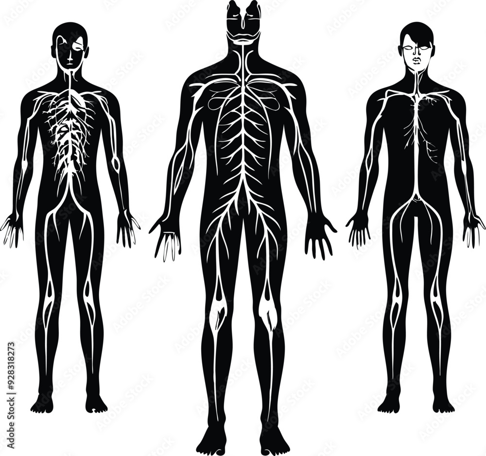 Fototapeta premium Human Nervous Flat Black Silhouette Vector Art Bundle