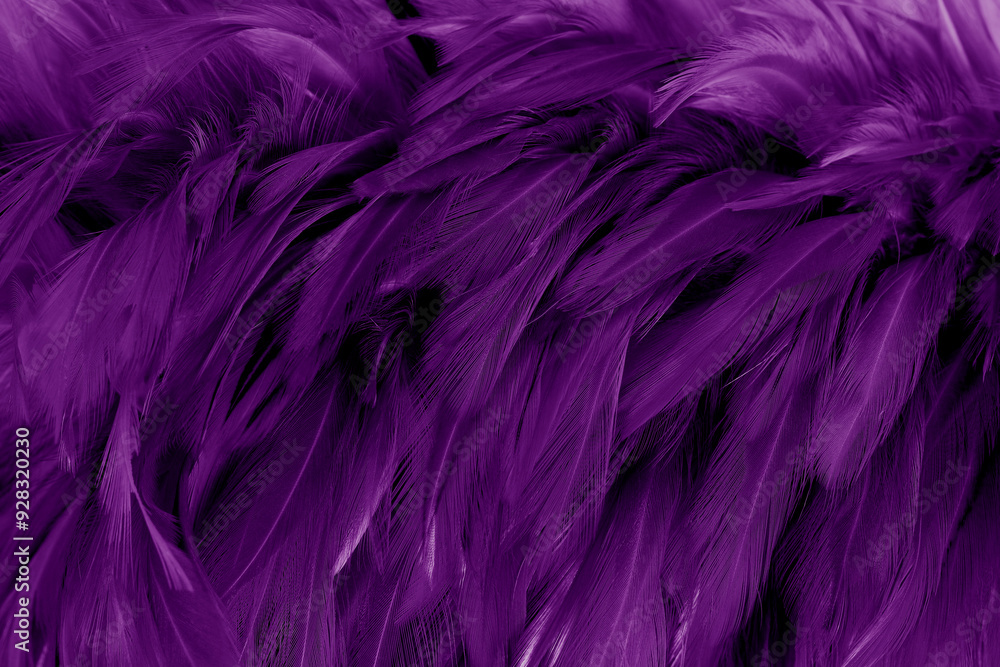 Beautiful Purple bird feathers pattern texture background. Beautiful Purple bird feathers pattern texture background.