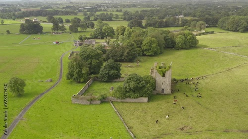 Wide aerial orbit of Castle Taylor in South Galway, photo