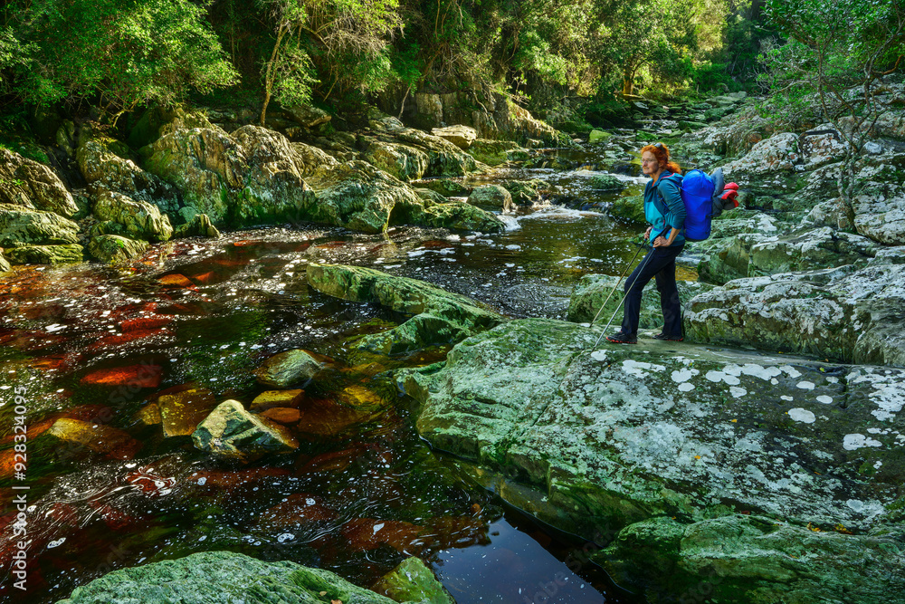 Mature backpacker standing on rock near river in forest of Otter Trail, Tsitsikamma Section, Garden Route National Park, Eastern Cape, South Africa Mature backpacker standing on rock near river in forest of Otter Trail, Tsitsikamma Section, Garden Route National Park, Eastern Cape, South Africa